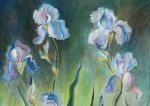 blue iris, oil on canvas